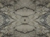 Мрамор Grey Roots